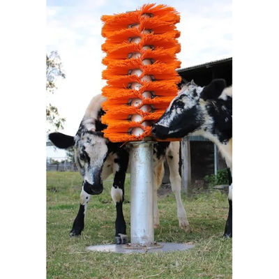 OEM Cattle Cow rascador de cepillo cuerpo de la espalda rascador con soporte