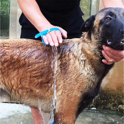 ODM Silicona PET cepilla de limpieza autolimpiante para gatos cepilla de aseo para perros